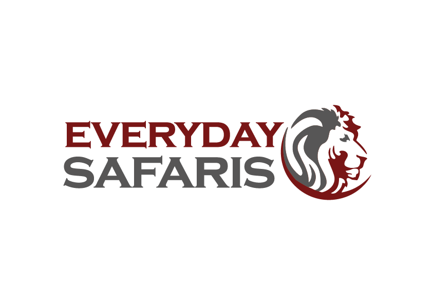 EVERYDAY SAFARIS LIMITED
